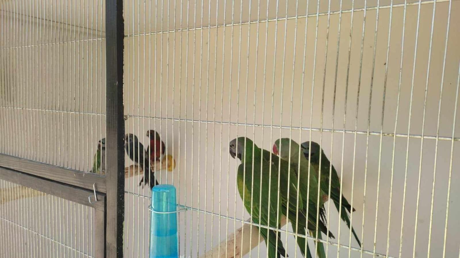 Hostel Roza Suwalki Luaran gambar